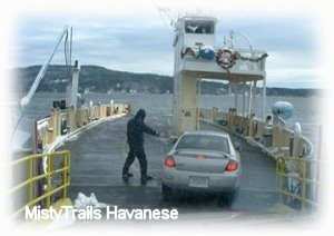 A car is being driven on the back of a ferry and there is a person to the left of the car.