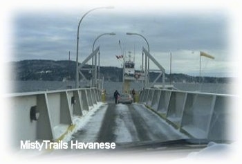 The ramp of a ferry with a car pulled onto the end of it.