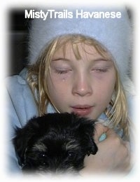 Close up - A crying girl in all blue is holding a black with gray Havanese puppy.