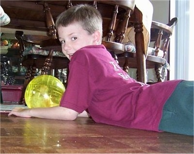 A hamster is in a yellow exercise ball and there is a child laying behind it smiling back at the camera.