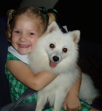 A girl in a green dress is hugging a Japanese Spitz in the back seat of a vehicle. The girl is smiling and the dogs tongue is out and it looks happy