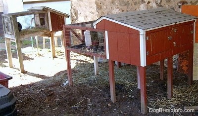 A single hutch is in the background outside. In the foreground is a double hutch outside.