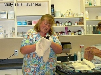 A nurse is cleaning a puppy with a towel with a smile on her face.