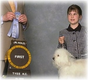 A girl in a black and white checkered patterned jacket is standing behind a white fluffy dog on a table. There is a person holding a sky blue ribbon in his hands.