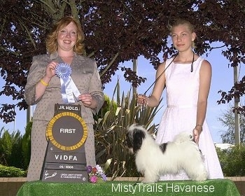 A blonde haired girl is posing a white with black dog on a table. There is a person holding a blue ribbon to the left of them.