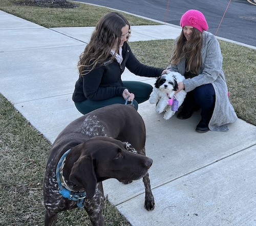 A girl with long brown hair kneeling down to pet a fluffy white and black puppy that a longhaired girl wearing a pink hat is holding while a large pointer stands in front of them
