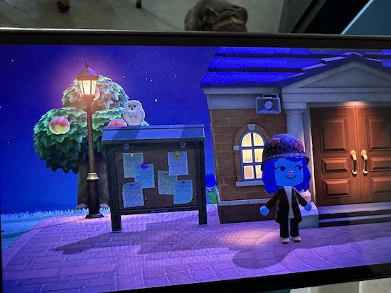 The game character Sharon on the island of Chunkamunk standing next to a bulletin board with a white owl purched on top of the board