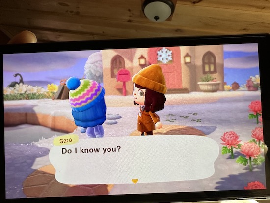 An Animal Crossing player talking to another player while visiting their island