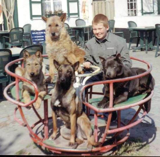 Four large breed dogs and one boy sitting on an old metal merry-go-round spinning playground toy