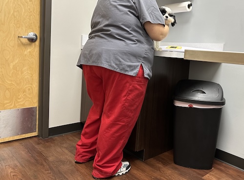 A small dog looking over at her owner while on a gray table at a vets office