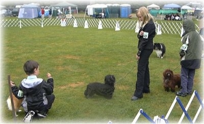 Three children are standing in an enclosed field and they all have dogs in front of them.