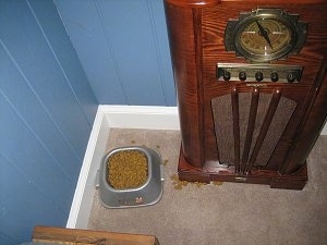 Food Bowl that is next to an Old Style Radio