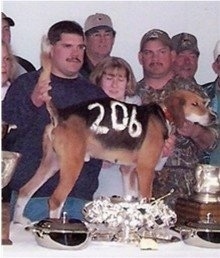 The right side of a brown and black with white American Foxhound with the numbers '206' painted on it's side. It is standing on a table in front of a bunch of people