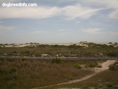 Beach and a road