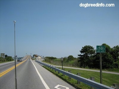 Road going to Assateague Island