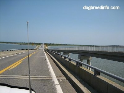 Crossing the Bridge to Assteague Island