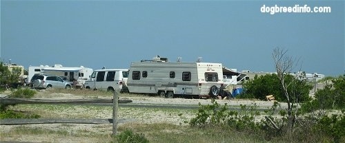 A Campground filled with RVs