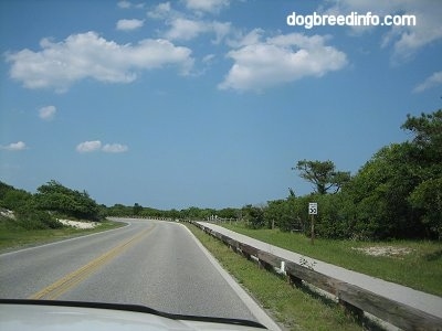 Road leading to Assateague Island Maryland