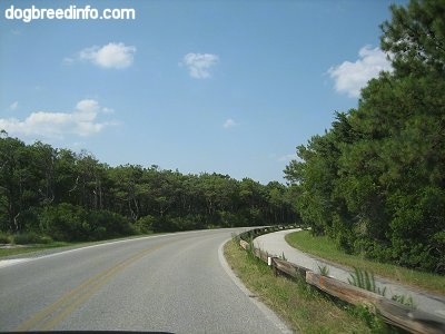 Windy Road to Assateague Island MD