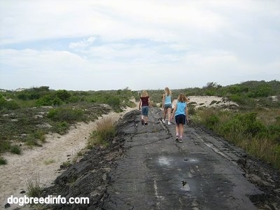 Three people are walking on the Old Asphalt Road