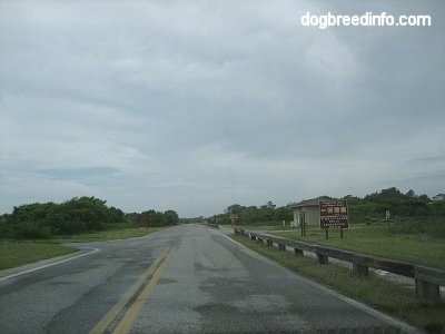 A Road that is leading to a sign and a small building on the right side and trees on the left side