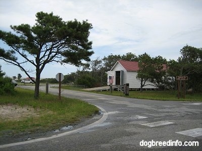 A road is leading to a small white building with the door open