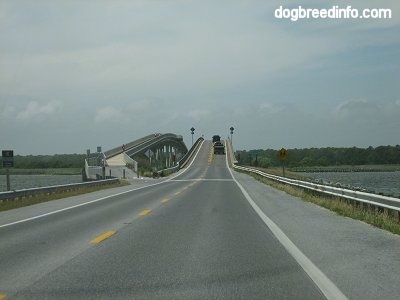 View of the highway leaving Assateague Island