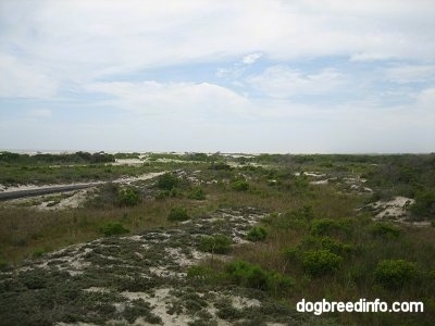 Sand dunes and an old road