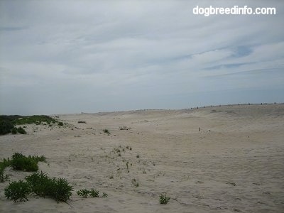 A sandy beach