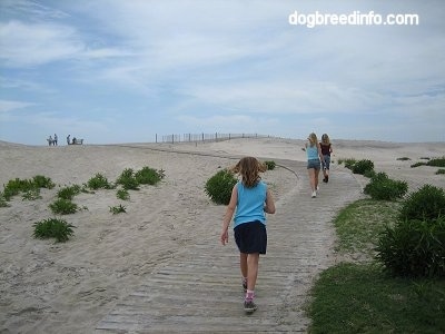 Three people are walking up a wooden walkway towards a beach.