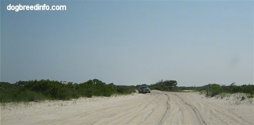 Sand Vehicle driving Over Sand