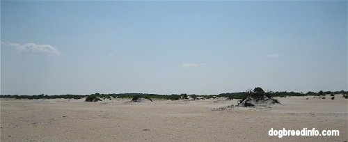 Sand Dunes with small grassy hills