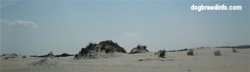 Beach side Sande Dunes