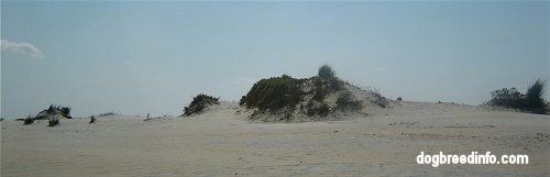 Sand Dunes