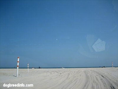 A Sandy road and the Atlantic Ocean is at the end.