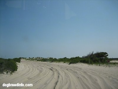 Sandy road with tracks in the sand