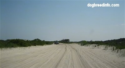 A car is driving down a sandy road