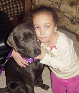 A black Labmaraner is sitting in front of an ottoman and there is a girl standing next to it with her arms around the dog looking up.