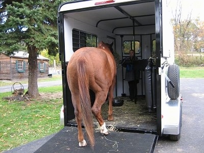 There is a blonde haired girl in a trailer leading a brown with white horse into it.