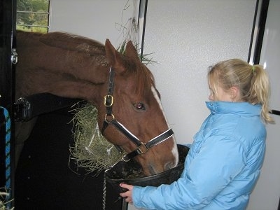 A blonde haired girl is holding a food bowl and a brown with white horse is eating Hay out of a large black bowl.