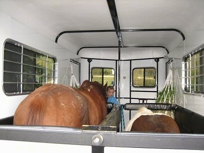 The backside of a brown with white horse and a white and dark brown paint pony eating grass. There is a blonde haired girl in front of them in the back of a trailer and making sure the Horses are secured.