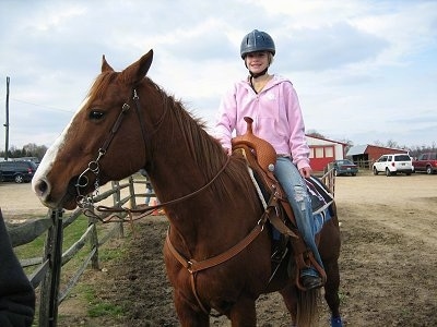 A blonde haired girl in a pink jacket is sitting on the back of a brown with white Horse. It is looking to the left.