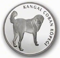 Kangal Coin issued by the Turkish government. A sideview of the dog with its tail up and the dog looking back