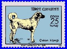 Kangal Dog on a Turkish postage stamp. A side-view of the dog on a blue background.