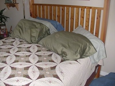 A made human bed with pillows and a wooden head board.