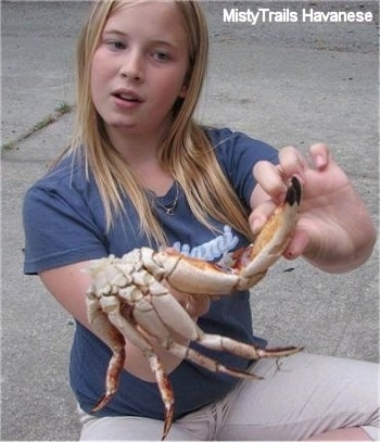 A blonde haired girl is sitting on a concrete surface and she is cleaning a crab.