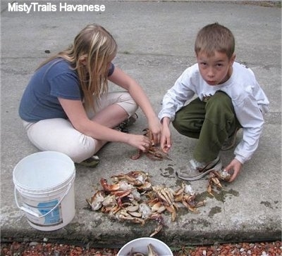 A boy is looking up, there is a pile of crabs in front of them. A blonde haired girl is sitting on a concrete surface and she is cleaning it.