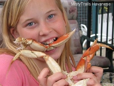 Close up - A blonde haired girl has a crab leg in her mouth. She is holding the crab legs in her hands.