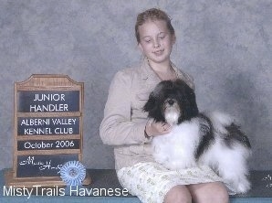 A blonde-haired girl is sitting on a table and a black and white dog is standing on her lap and it is looking forward.