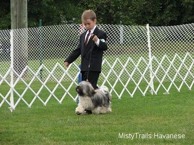 A boy is walking a black with tan dog across and enclosed field at a dog show.